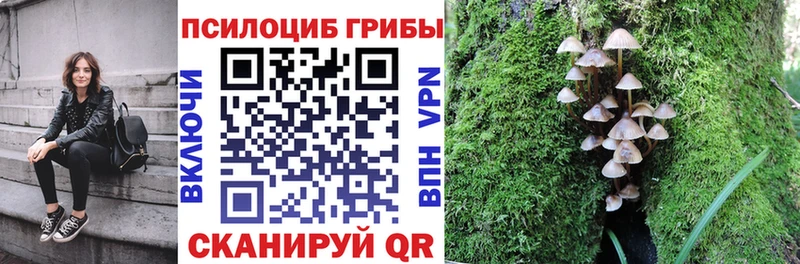 mega tor  Горячий Ключ  Галлюциногенные грибы GOLDEN TEACHER 