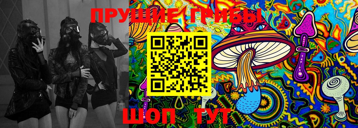 даркнет сайт  Горячий Ключ  Псилоцибиновые грибы ЛСД  Псилоцибиновые грибы Cubensis 