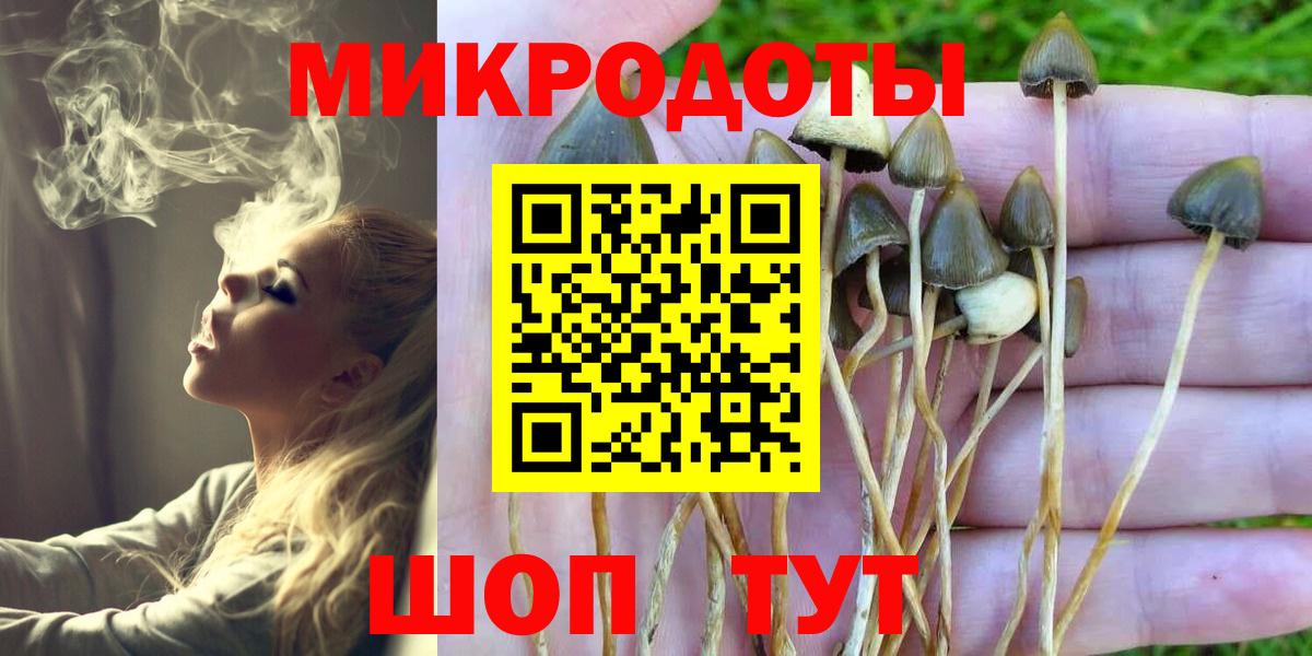 Галлюциногенные грибы Magic Shrooms Горячий Ключ