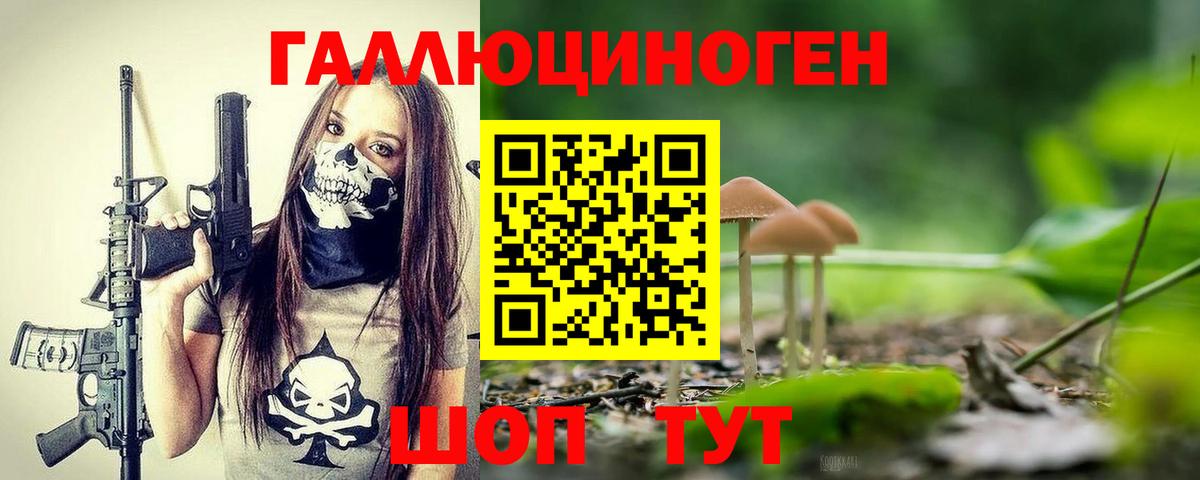 Горячий Ключ  Галлюциногенные грибы Psilocybine cubensis  Вход с VPN 